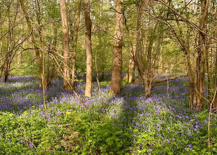 Bluebell Annexe